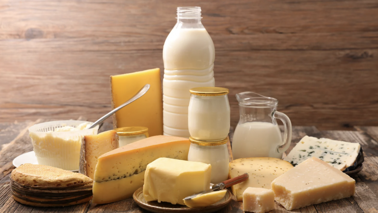 الأجبان ومنتجات الألبان